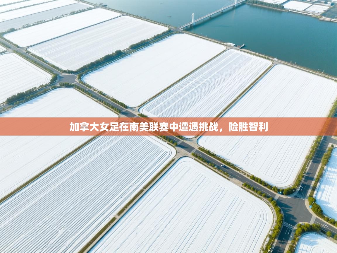 开云体育app下载地址-加拿大女足在南美联赛中遭遇挑战，险胜智利  第1张