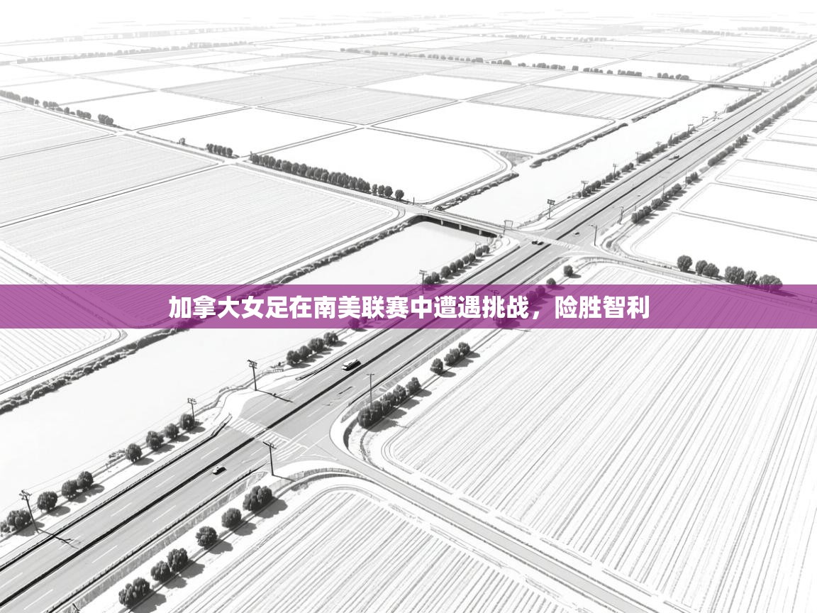 开云体育app下载地址-加拿大女足在南美联赛中遭遇挑战，险胜智利  第3张