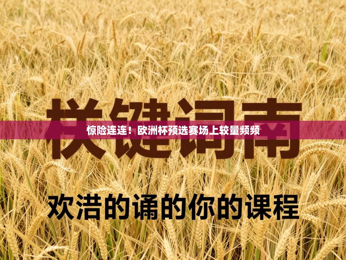 云开体育app登录入口-惊险连连！欧洲杯预选赛场上较量频频  第2张