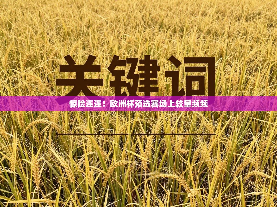云开体育app登录入口-惊险连连！欧洲杯预选赛场上较量频频  第4张